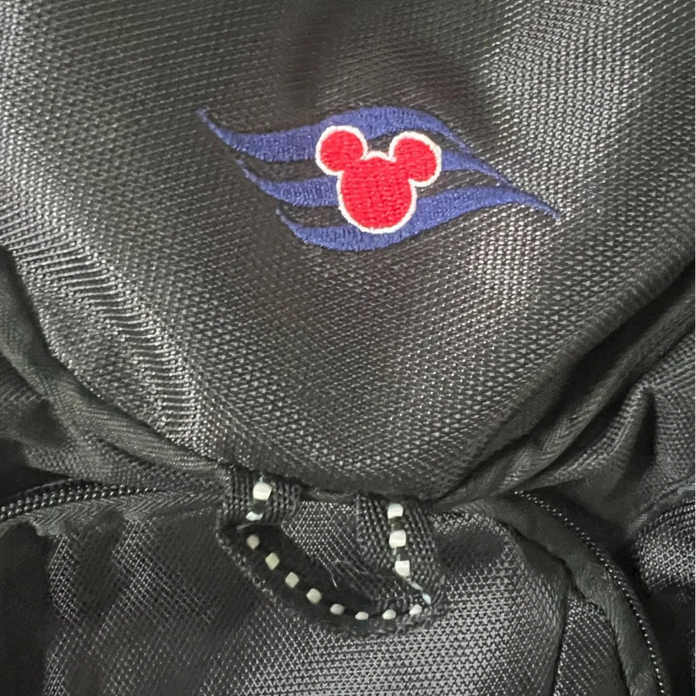 Disney reposhing this
